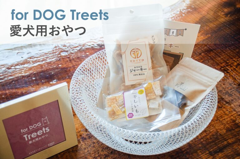 【さかさまドッグ🐕リゾート 愛犬用アメニティグッズをご紹介】by営業部長
